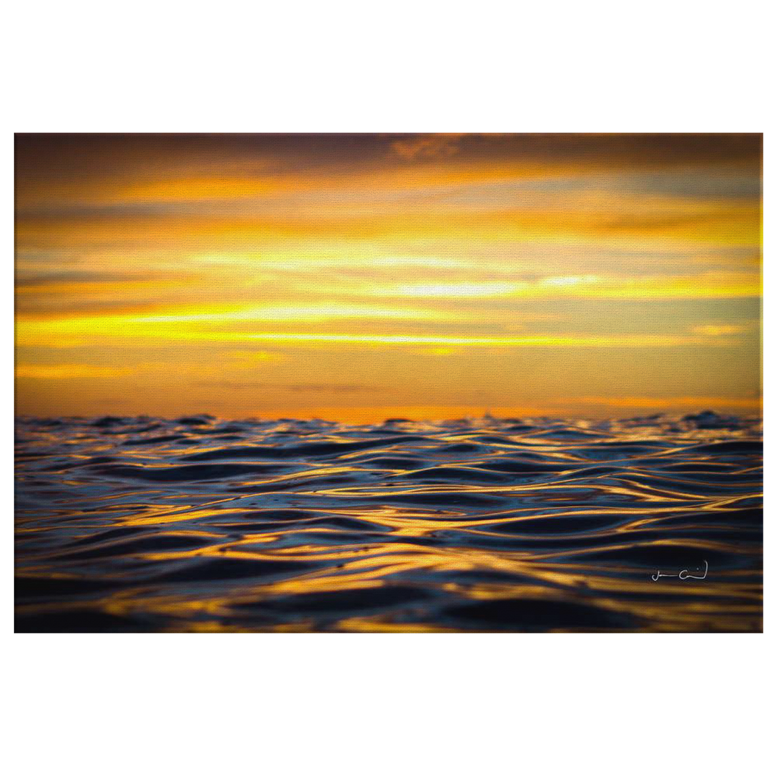 "Moth to a Flame" Canvas