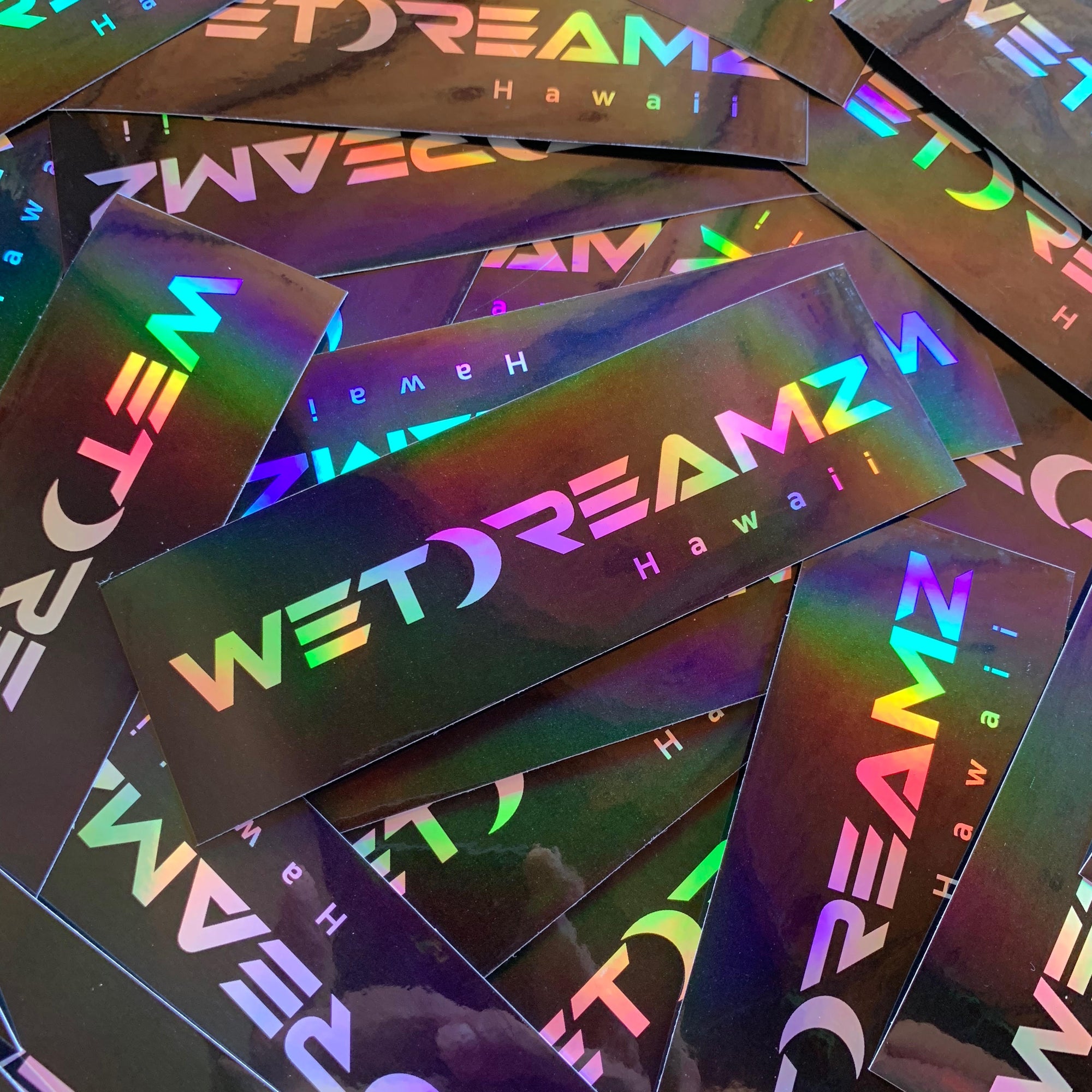 Holographic WD Logo Sticker