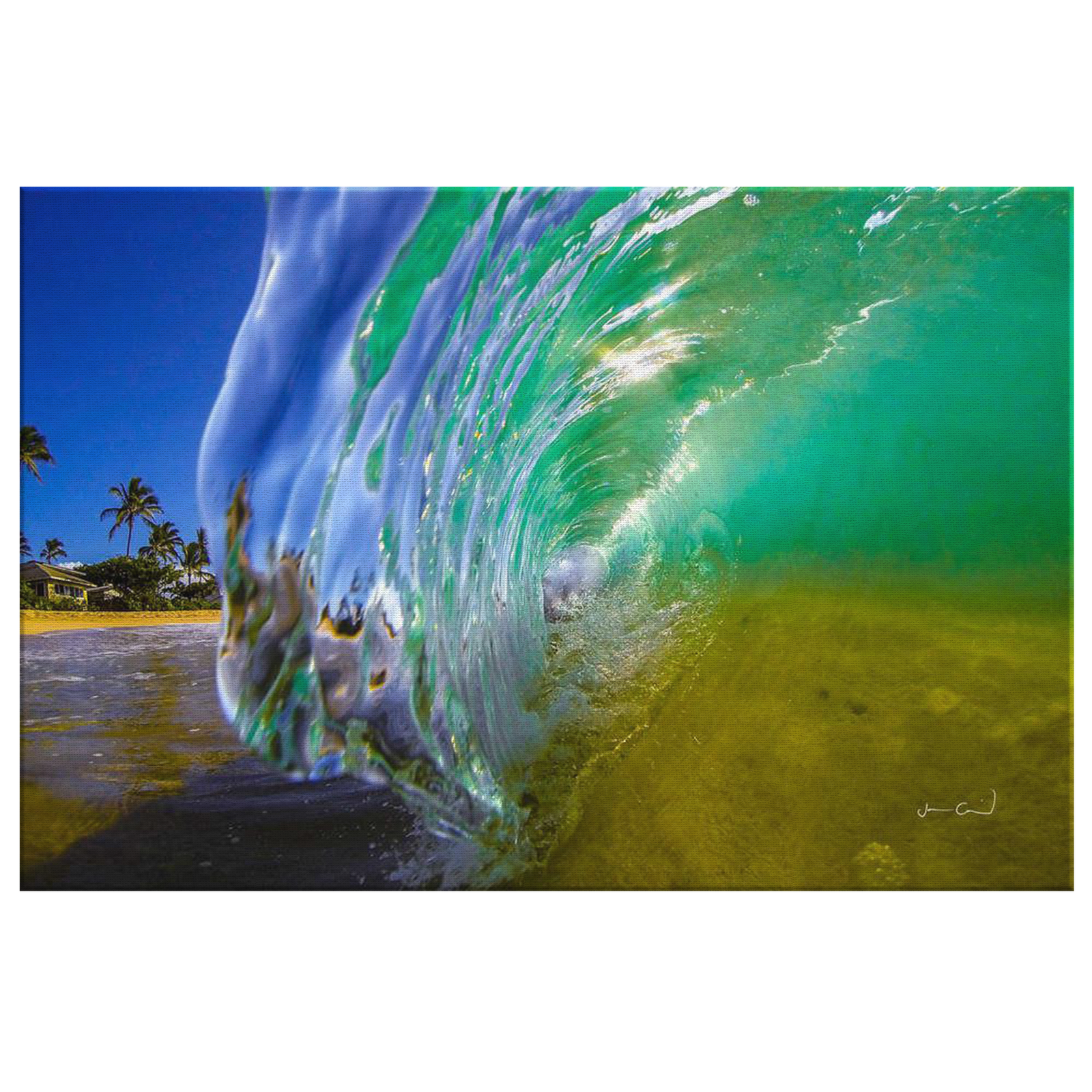 "Mint Condition" Canvas