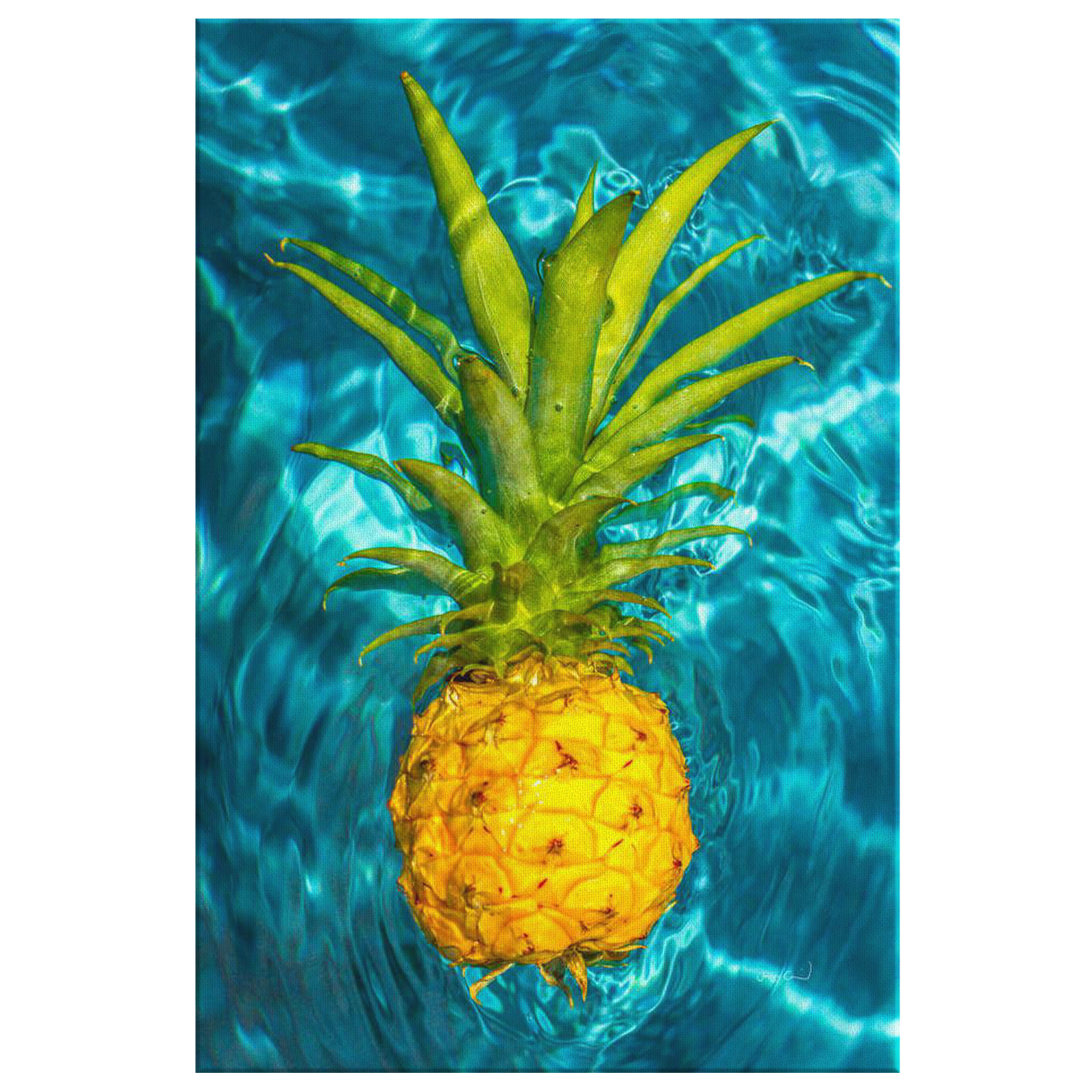 "Fineapple" Canvas